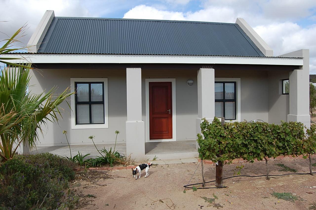 Longacre Olive & Vineyard Estate Guest House Langebaan Exterior foto