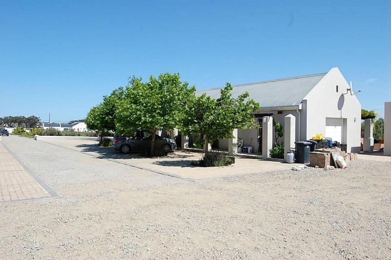 Longacre Olive & Vineyard Estate Guest House Langebaan Exterior foto