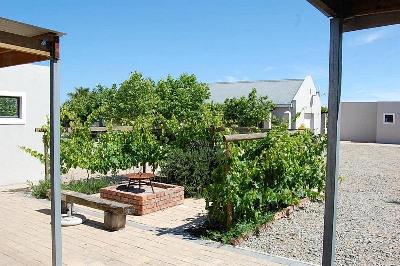 Longacre Olive & Vineyard Estate Guest House Langebaan Exterior foto