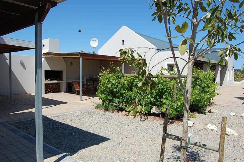 Longacre Olive & Vineyard Estate Guest House Langebaan Exterior foto