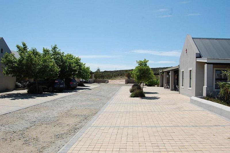 Longacre Olive & Vineyard Estate Guest House Langebaan Exterior foto